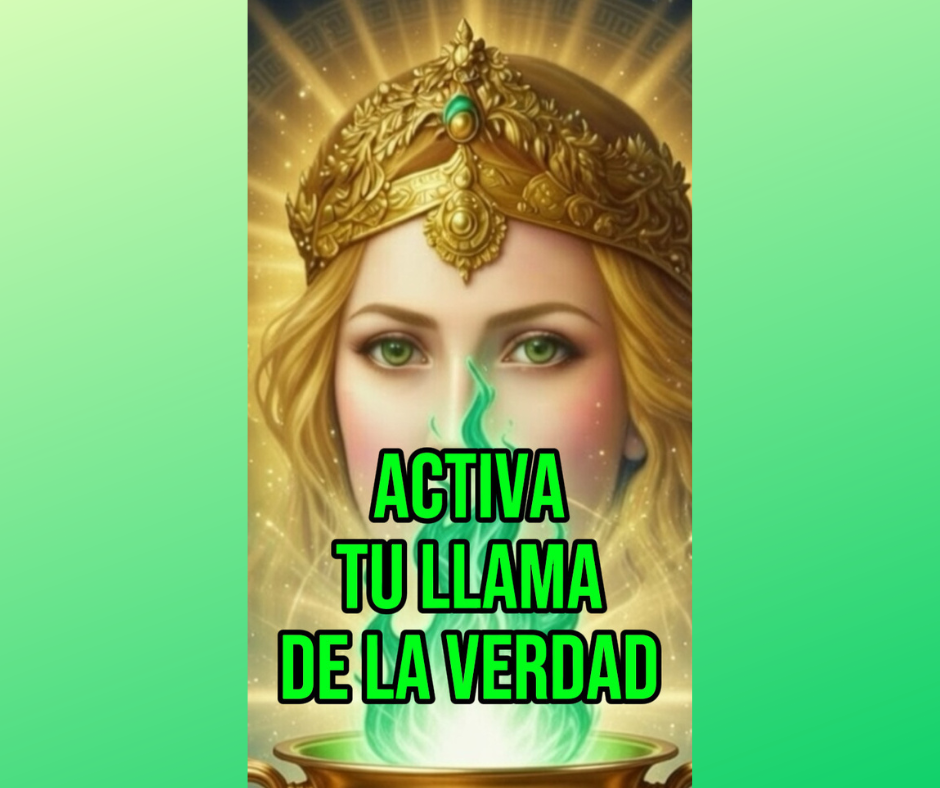 En este momento estás viendo PALAS ATENEA ORDENA